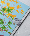 Kyoto Garden Acers Greetings Card - Sprouts of Bristol