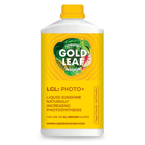 LGL Photo+ - Sprouts of Bristol