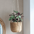 Mayfield Hanging Plant Pot - Sprouts of Bristol