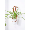 Medium Peg Wall Planter - Sprouts of Bristol