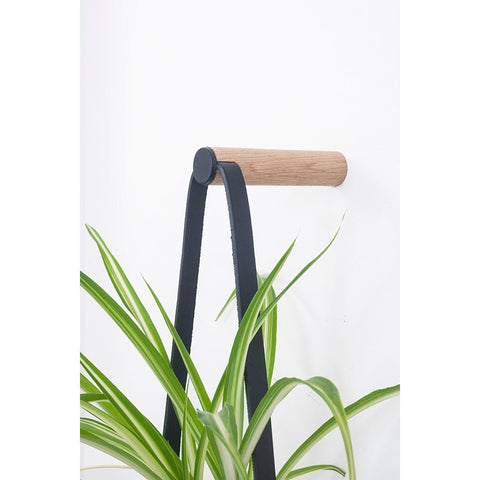 Medium Peg Wall Planter - Sprouts of Bristol