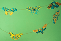 Moths Sewn Garland - Sprouts of Bristol