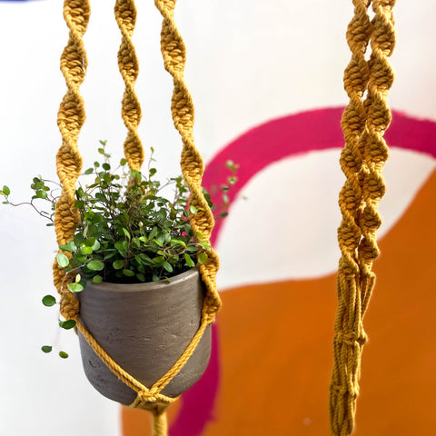 Mustard Yellow Macrame Plant Hanger - Sprouts of Bristol