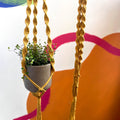 Mustard Yellow Macrame Plant Hanger - Sprouts of Bristol