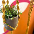 Mustard Yellow Macrame Plant Hanger - Sprouts of Bristol