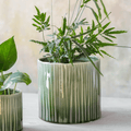 Nettleton Pot - 19cm - Sprouts of Bristol