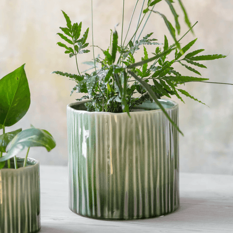 Nettleton Pot - 19cm - Sprouts of Bristol