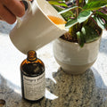Organic Houseplant Food - Sprouts of Bristol