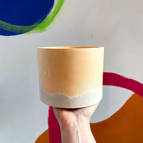 Peach and Putty Jesmonite Pot - Sprouts of Bristol