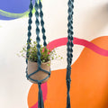 Peacock Blue Macrame Plant Hanger - Sprouts of Bristol