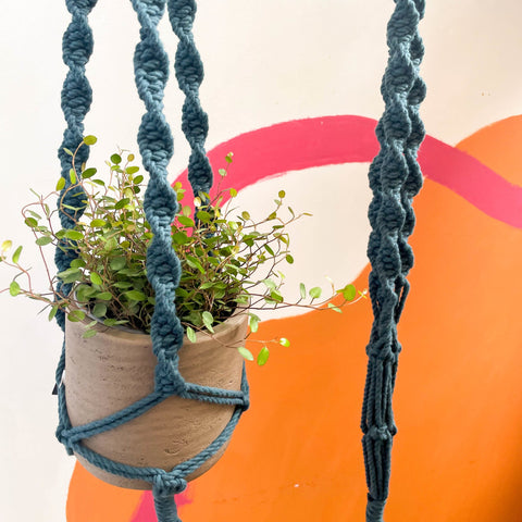 Peacock Blue Macrame Plant Hanger - Sprouts of Bristol