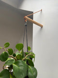 Peg Plant Hanger - Sprouts of Bristol