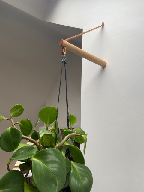 Peg Plant Hanger - Sprouts of Bristol