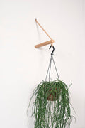 Peg Plant Hanger - Sprouts of Bristol