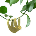 Plant Animal Sloth - Sprouts of Bristol