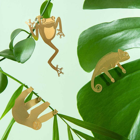 Plant Animal Tree Frog - Sprouts of Bristol
