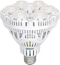 Plant Grow Light Bulbs - Sprouts of Bristol