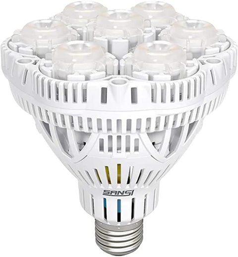 Plant Grow Light Bulbs - Sprouts of Bristol