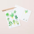 Potted Houseplant Postcard - Sprouts of Bristol