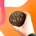 Potted White-flowered Snake's Head Fritillary Bulbs - Fritillaria meleagris 'Alba' - Sprouts of Bristol