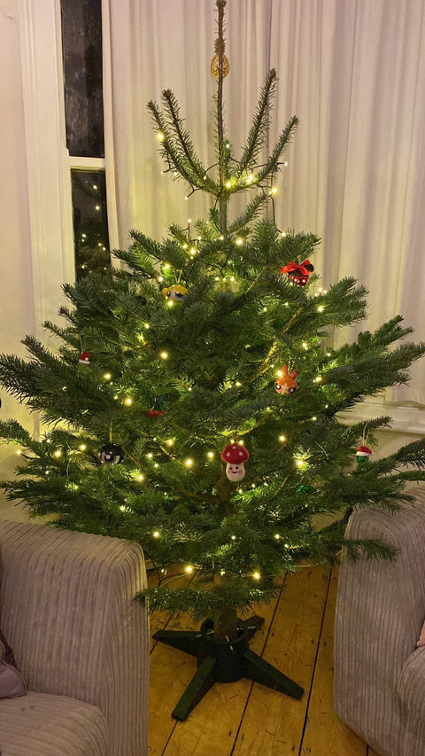 Premium Nordmann Fir Non-Drop Christmas Tree - UK Grown - Sprouts of Bristol