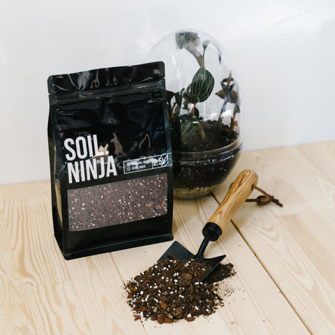 Premium Terrarium Soil Mix - Sprouts of Bristol