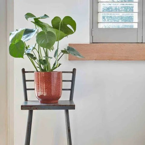 Reactive Glaze Burnt Orange Planter - Sprouts of Bristol