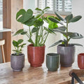 Reactive Glaze Burnt Orange Planter - Sprouts of Bristol