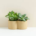 Rowan Double Planter - Sprouts of Bristol