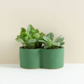 Rowan Double Planter - Sprouts of Bristol