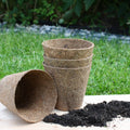 Rubberised Certified Organic Coir Seedling Pots: 8cm - Sprouts of Bristol