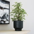 Sapa Planter - Sprouts of Bristol
