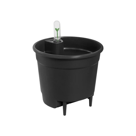 Self-Watering Insert - Sprouts of Bristol
