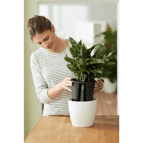 Self-Watering Insert - Sprouts of Bristol