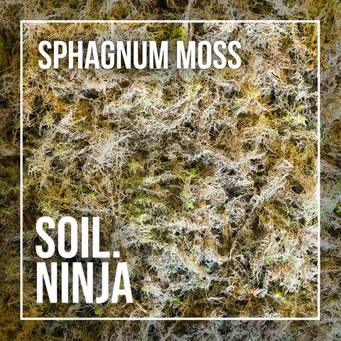 Sphagnum Moss - Soil Component - Sprouts of Bristol