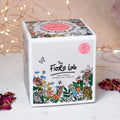 Stargazer Natural-Wax Candle | Sheer Lily. Bergamot. White Rose. - Sprouts of Bristol