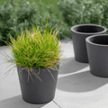 Stratton Pot - Carbon - Sprouts of Bristol
