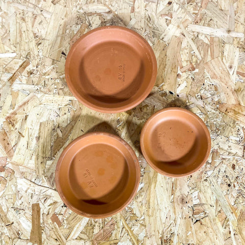 Terracotta Pots - Sprouts of Bristol