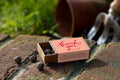 Thank You Seedball Box - Sprouts of Bristol