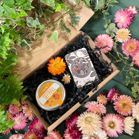The Flower Lover Mini Gift Set - Wooden Pin and Wildflower Seeds - Sprouts of Bristol