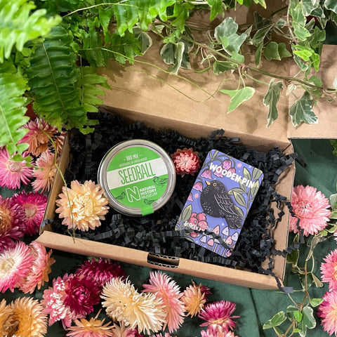 The Flower Lover Mini Gift Set - Wooden Pin and Wildflower Seeds - Sprouts of Bristol