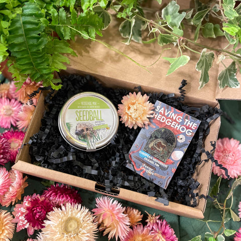 The Nature Lover Mini Gift Set - Enamel Pin and Wildflower Seeds - Choose your own! - Sprouts of Bristol