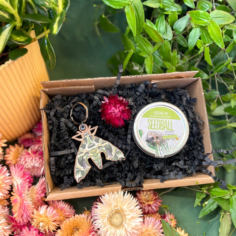 The Nature Lover Mini Gift Set - Wooden Keyring and Wildflower Seeds - Choose your own! - Sprouts of Bristol