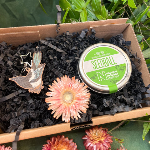 The Nature Lover Mini Gift Set - Wooden Keyring and Wildflower Seeds - Choose your own! - Sprouts of Bristol