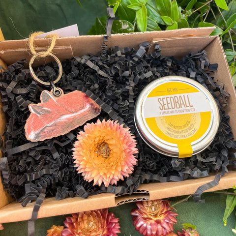 The Nature Lover Mini Gift Set - Wooden Keyring and Wildflower Seeds - Choose your own! - Sprouts of Bristol