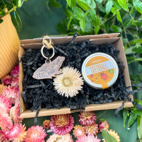 The Nature Lover Mini Gift Set - Wooden Keyring and Wildflower Seeds - Choose your own! - Sprouts of Bristol