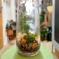 Tower Vase - Bioactive Terrarium - Sprouts of Bristol