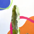 Variegated Candelabra Cactus - Euphorbia erytrea variegata - Sprouts of Bristol