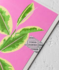 Variegated Rubber Plant Greetings Card - Sprouts of Bristol