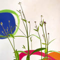 Verbena macdougalii 'Lavender Spires' - Cotswold Grown Perennial - Sprouts of Bristol